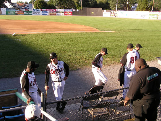 Bowman Field - The Williamsport Crosscutters